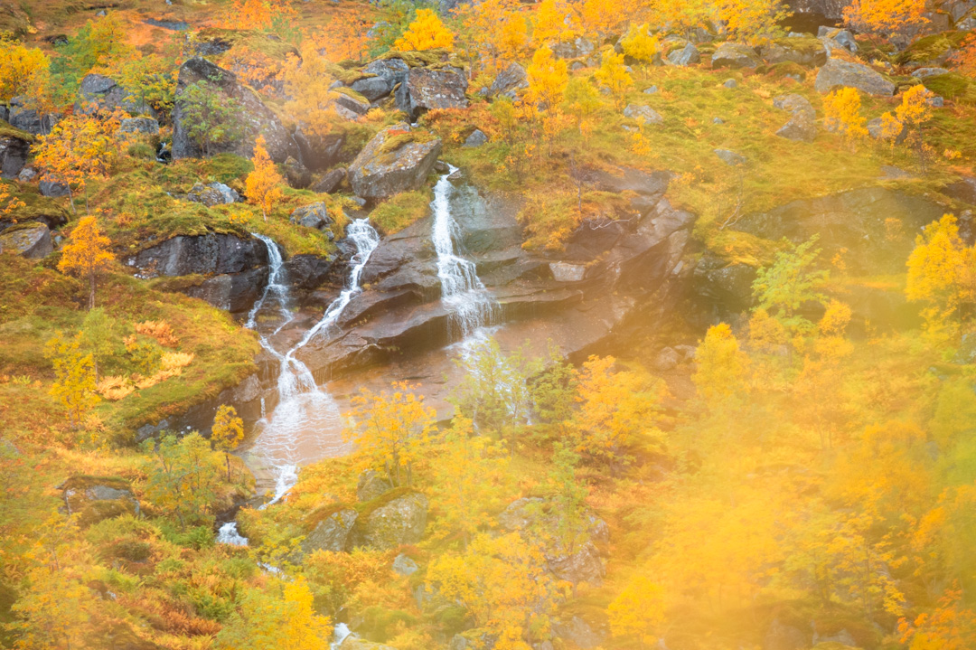 Lass die Ruhe der Natur auf dich wirken.