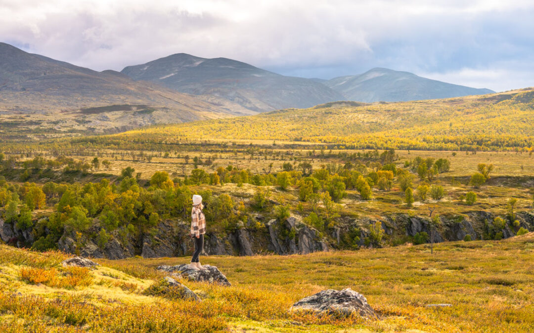 Frau blickt in die Ferne Norwegens