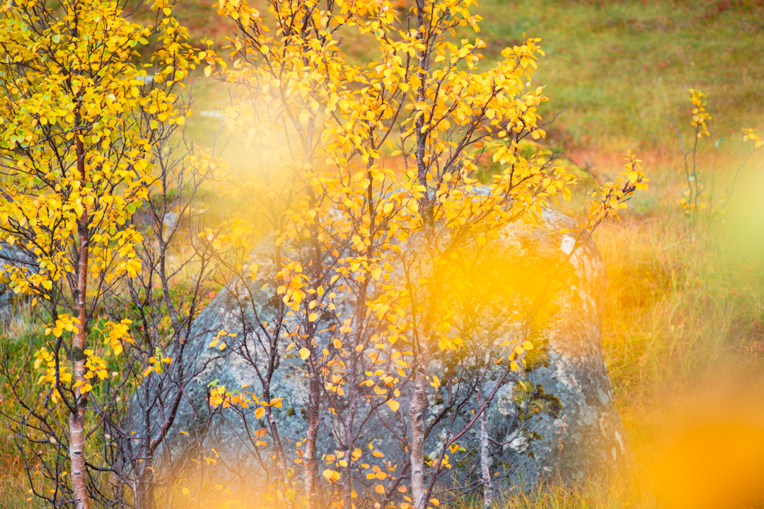 Die Natur gibt uns ein völlig neues Zeitgefühl.