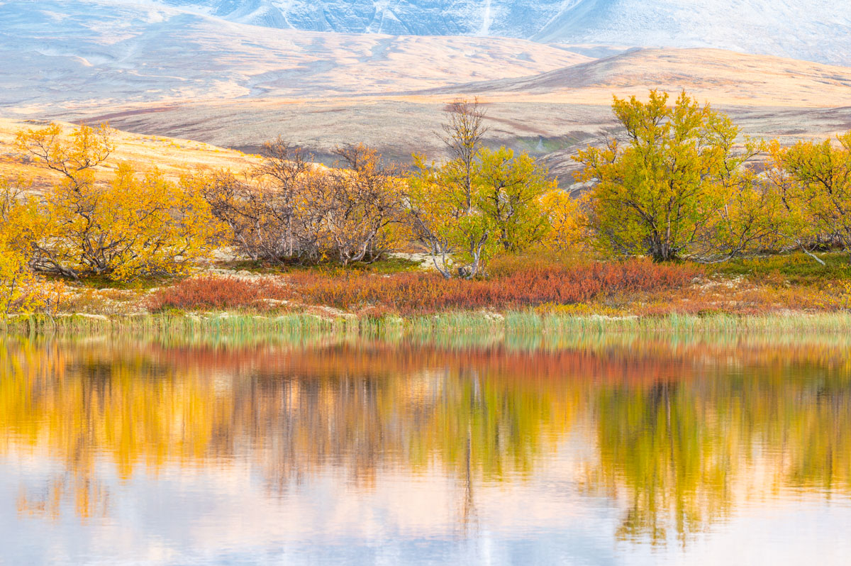 Fülle deine freie Zeit nicht mit Zweifeln, sondern mit Umsetzung.