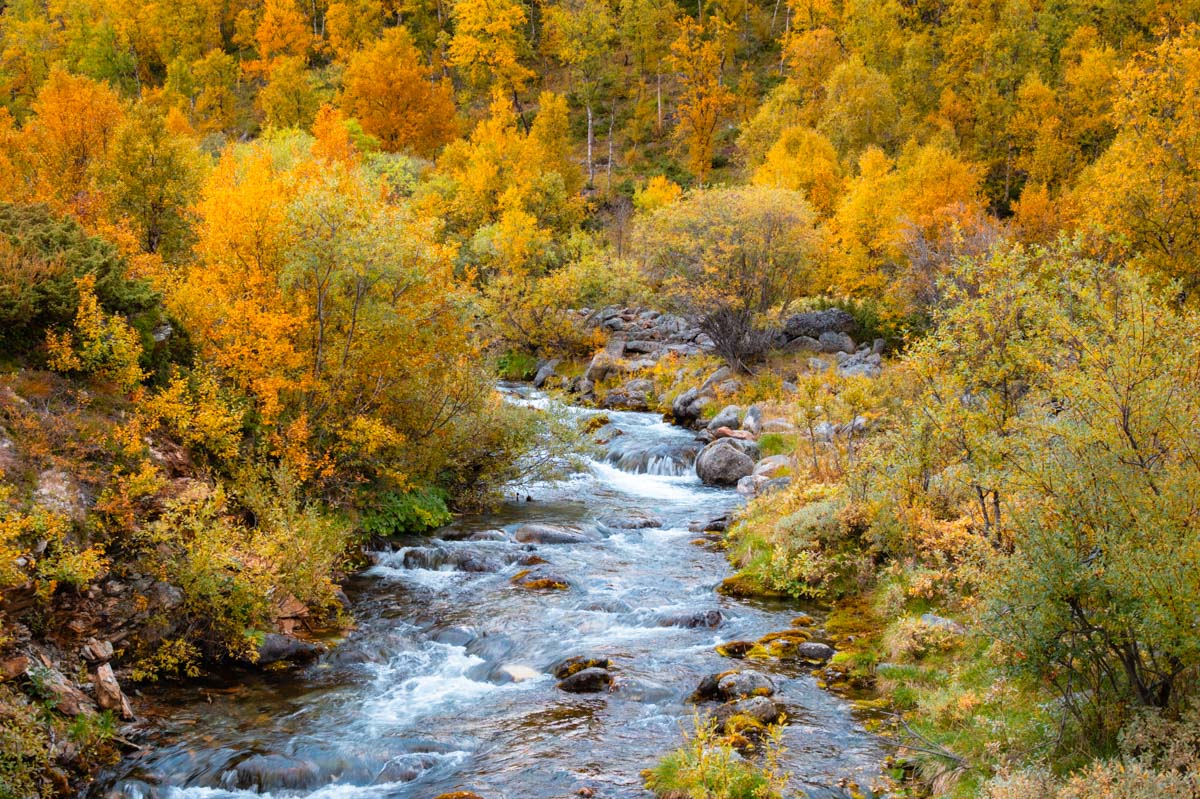 Lass die Zeitfresser wie einen Fluss an dir vorbei rauschen.