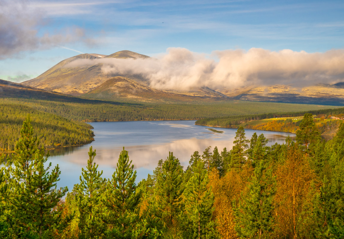 Eine weite Landschaft und die Frage, warum so wenig Zeit für den Business-Aufbau übrig bleibt.