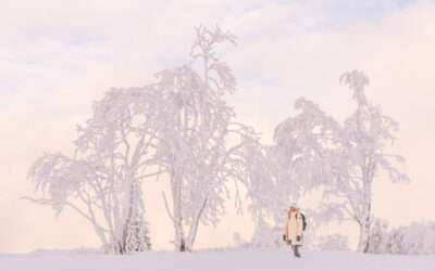 Wie ich mein Businessjahr im Einklang mit mir und den Jahreszeiten plane